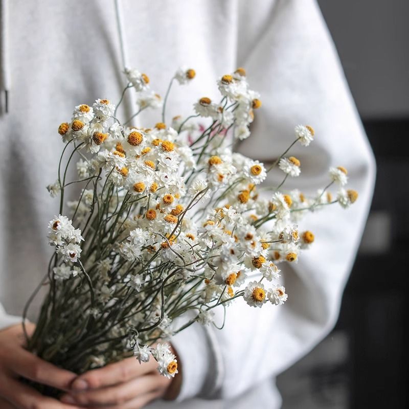 Getrockenes Blumenstrauß Arrangement