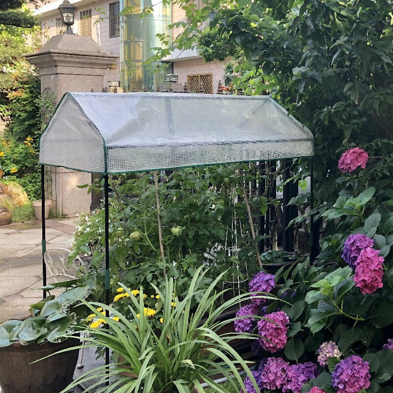 Garten Gewächshaus