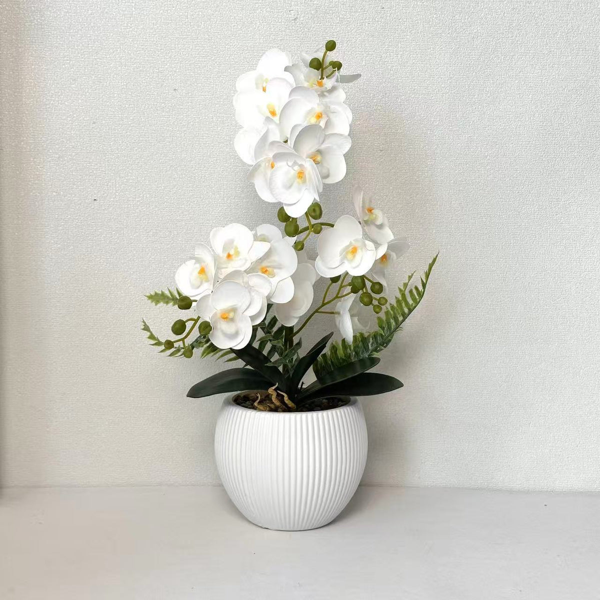 Dekorative Orchideenpflanze für dekorative Wohnraumgestaltung