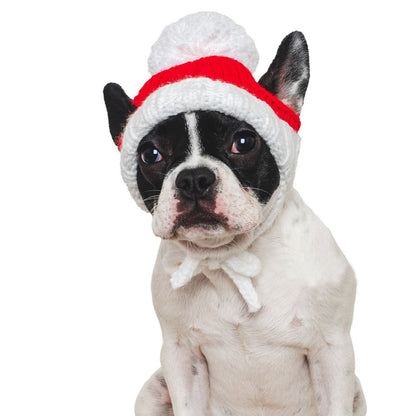 Lustige Weihnachtsmütze für Haustiere