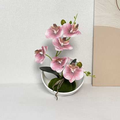 Orchideen Dekorativer Mittelpunkt