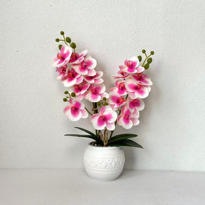 Dekorative Orchidee für Tischdekoration