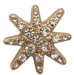 WoRadiant Starburst Brosche Brehn