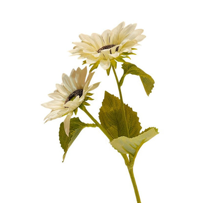 Dekorative Sonnenblume Brehn