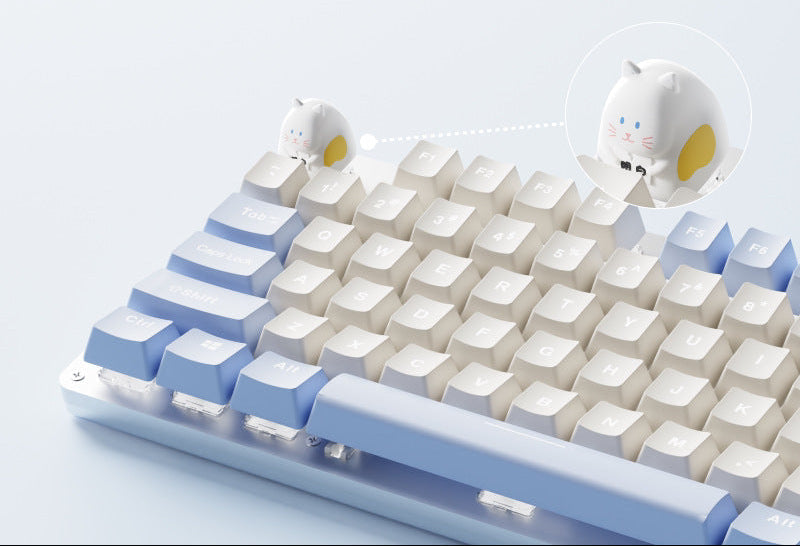 Tastaturzubehör Brehn