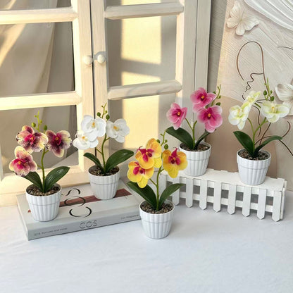 Dekorative Künstliche Orchideenarrangement für Dekorative Wohnraum Präsentation