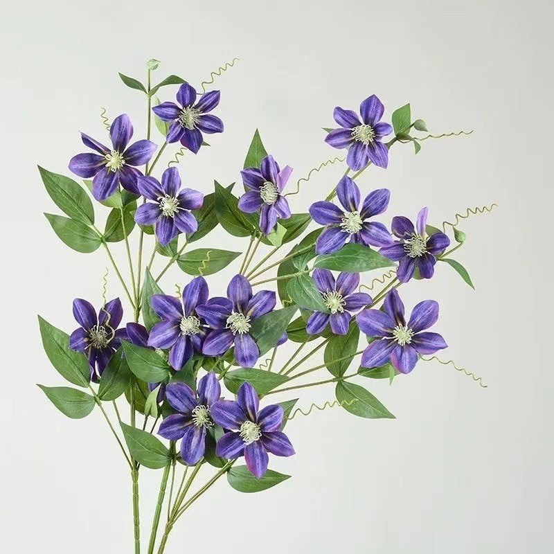 Dekorative Clematis Blumenarrangement