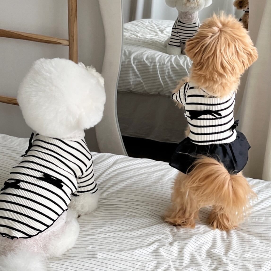 Rippstrick gestreiftes Strick-Hundekleid mit Rüschensaum & Akzent