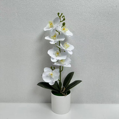 Lebensechte Dekorative Orchideenpflanze für die Innendekoration