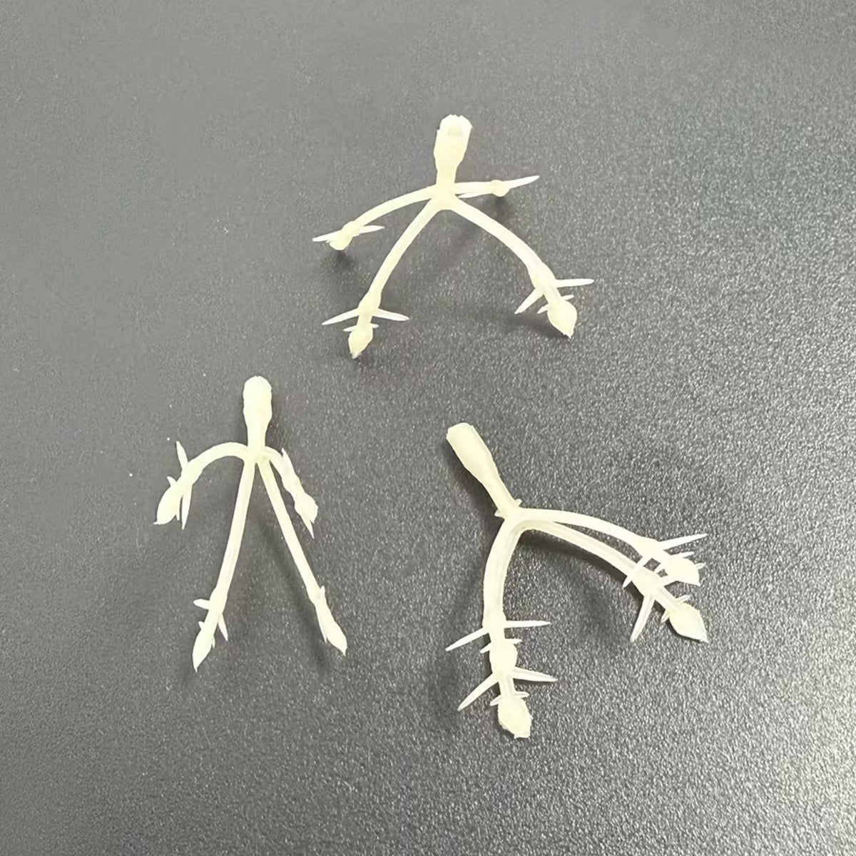 Dekorative Pflanzenstängel