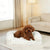 Orthopädisches Unterstützungs-Hundebett