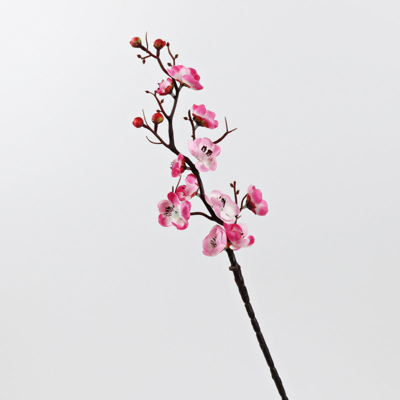 Dekorative Blumenarrangement für die Hausdekoration
