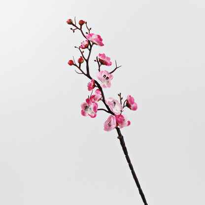 Dekorative Blumenarrangement für die Hausdekoration