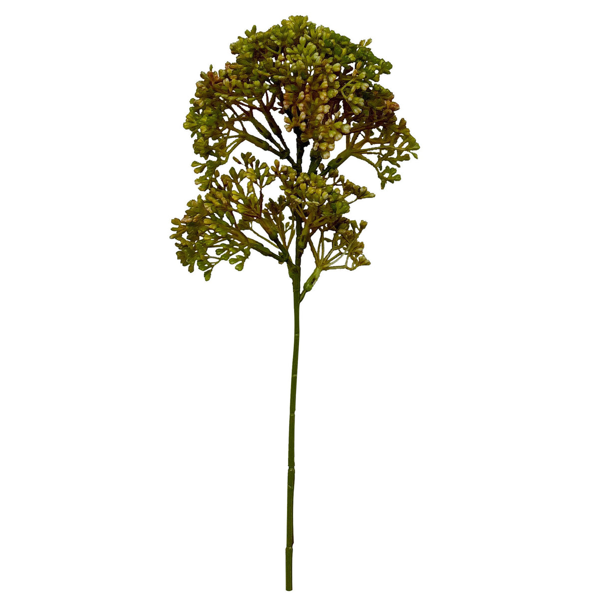 Lebensechte botanische Stielanordnung
