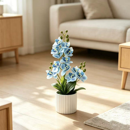 Realistische Indoor-Orchideenpflanzenanordnung
