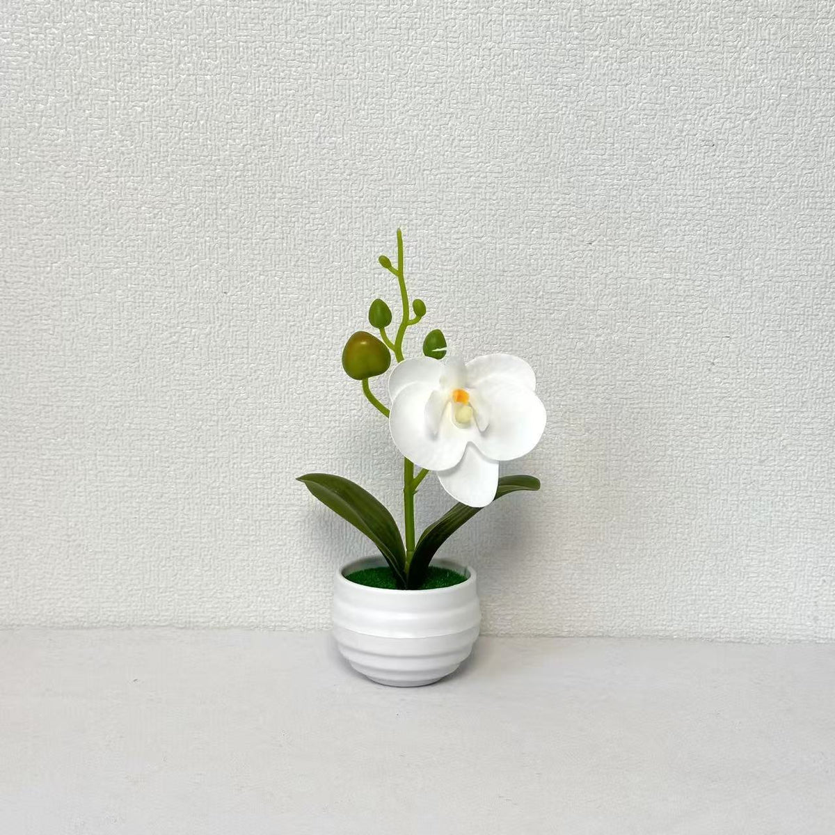 Lebensechte Orchideen Blumenkübel Dekoration