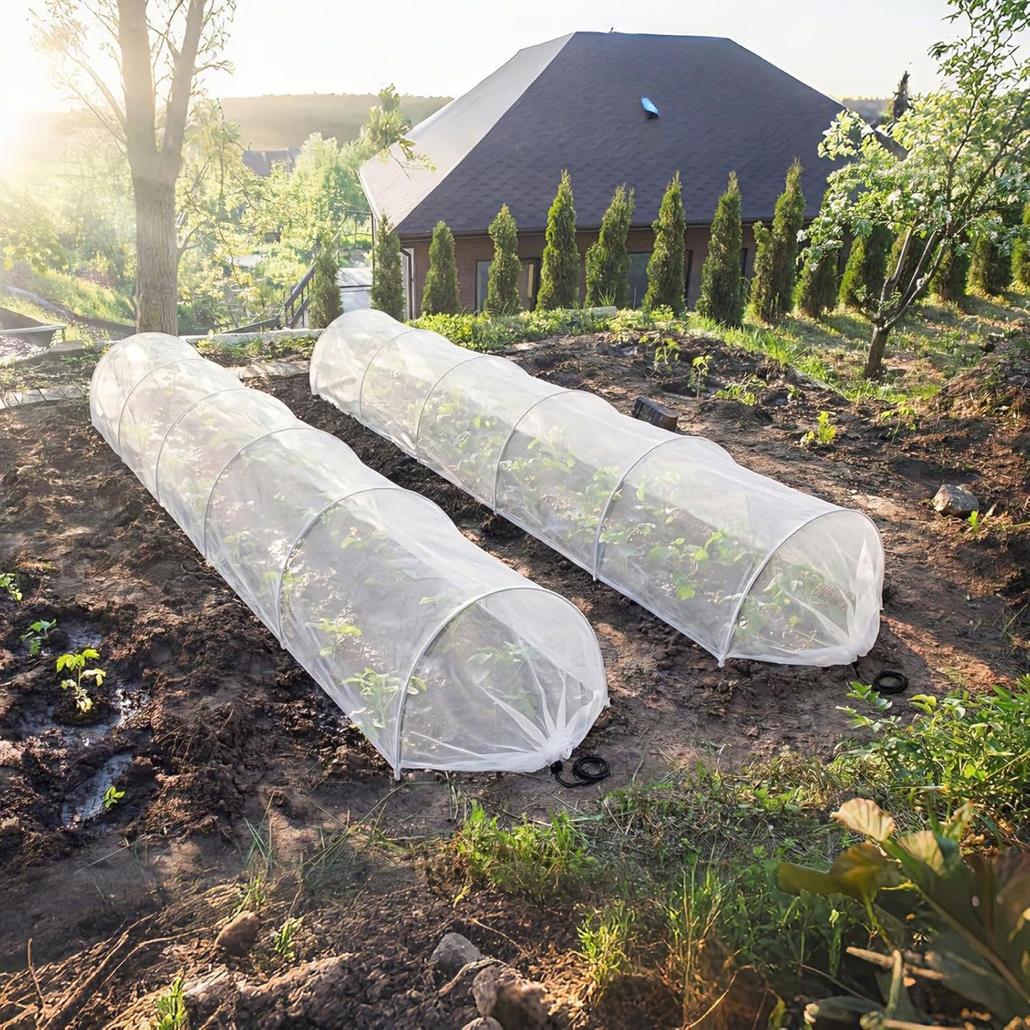 Garten Schutz Tunnelabdeckung Brehn