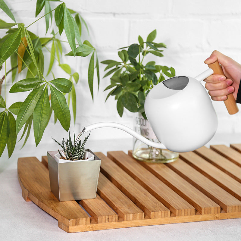 Stilvolle ergonomische Gießkanne