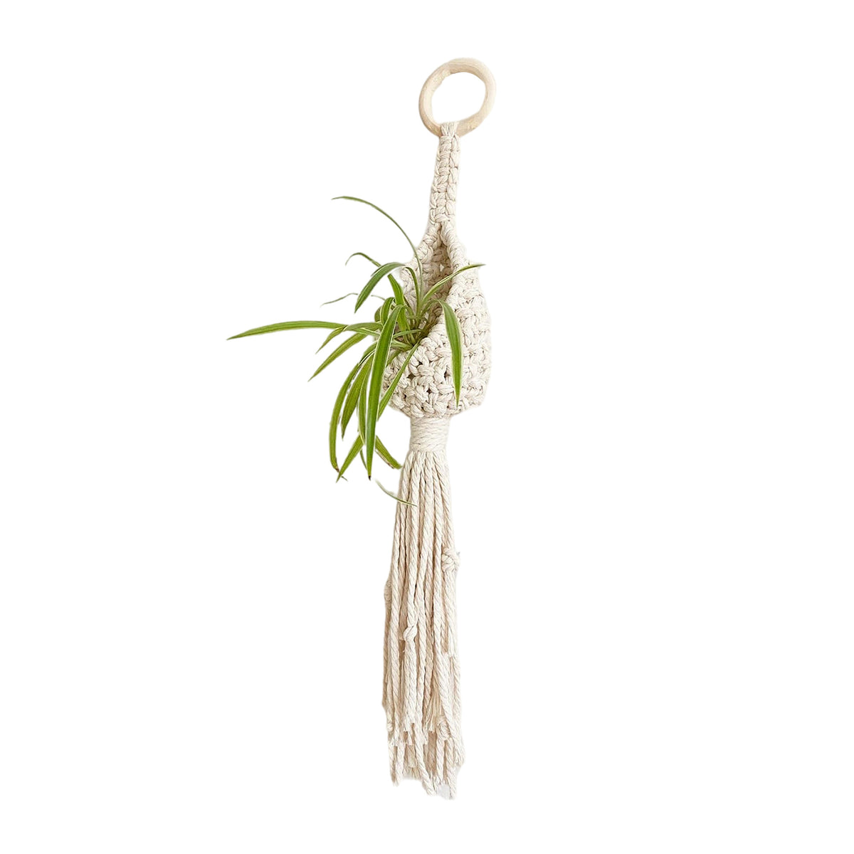 Bohemian Pflanzenhalter Brehn
