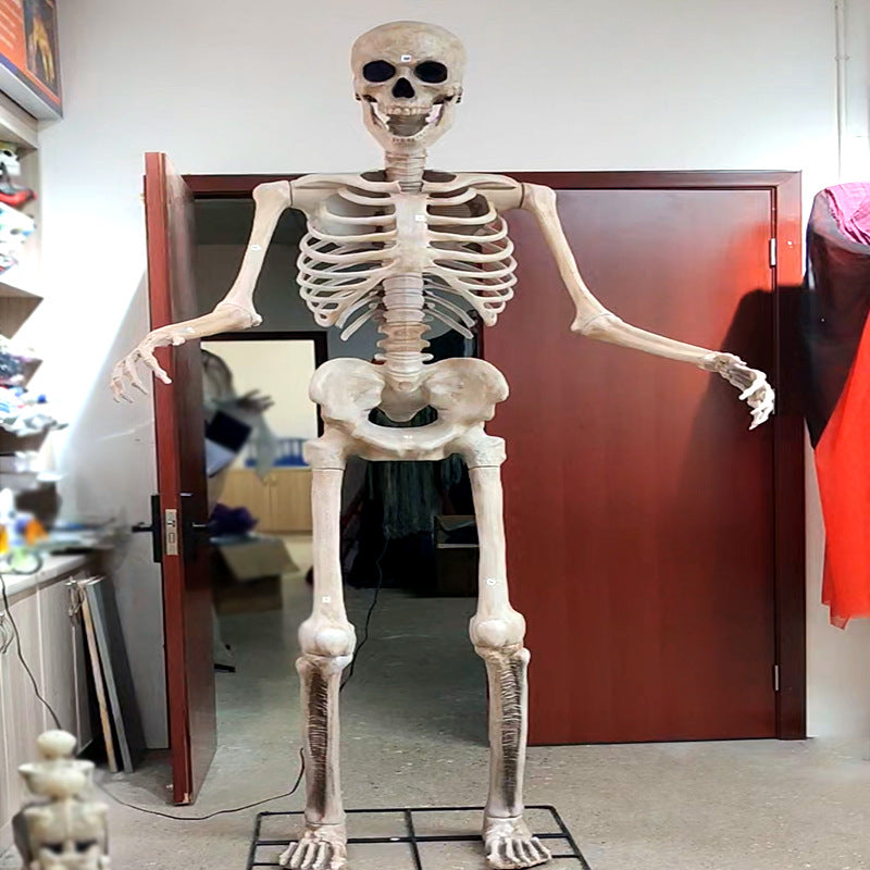 Lebensgroß anatomisches Skelett Requisit Brehn