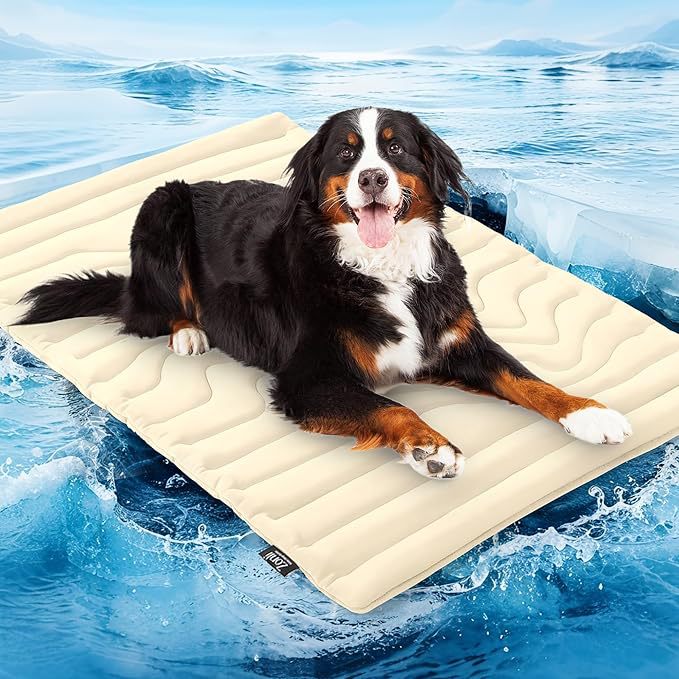 Unisex nan orthopädisches Hundebett mit viscoelastischem Schaumkern und erhöhtem Rand Brehn
