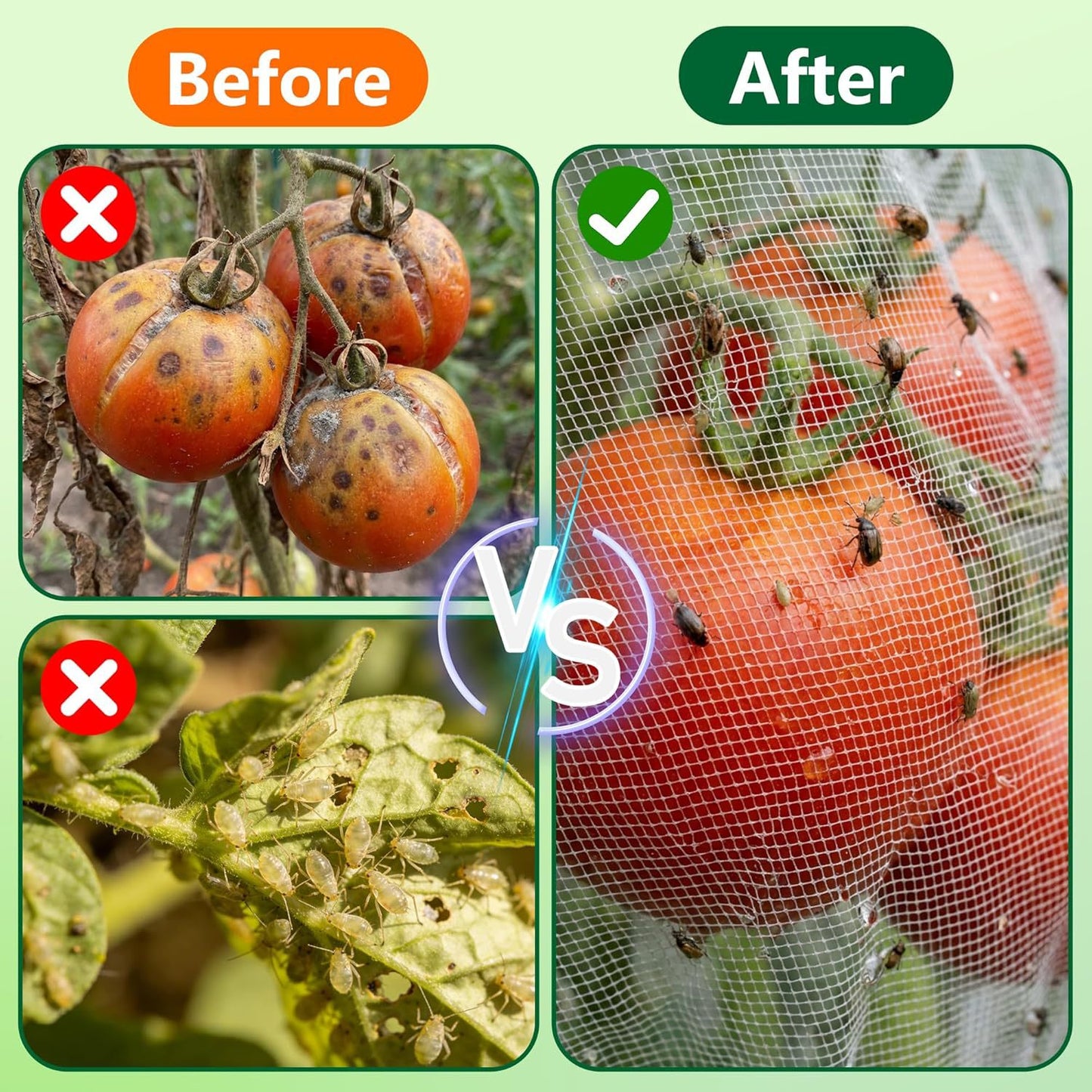 Gartenpflanze Unterstützung Brehn