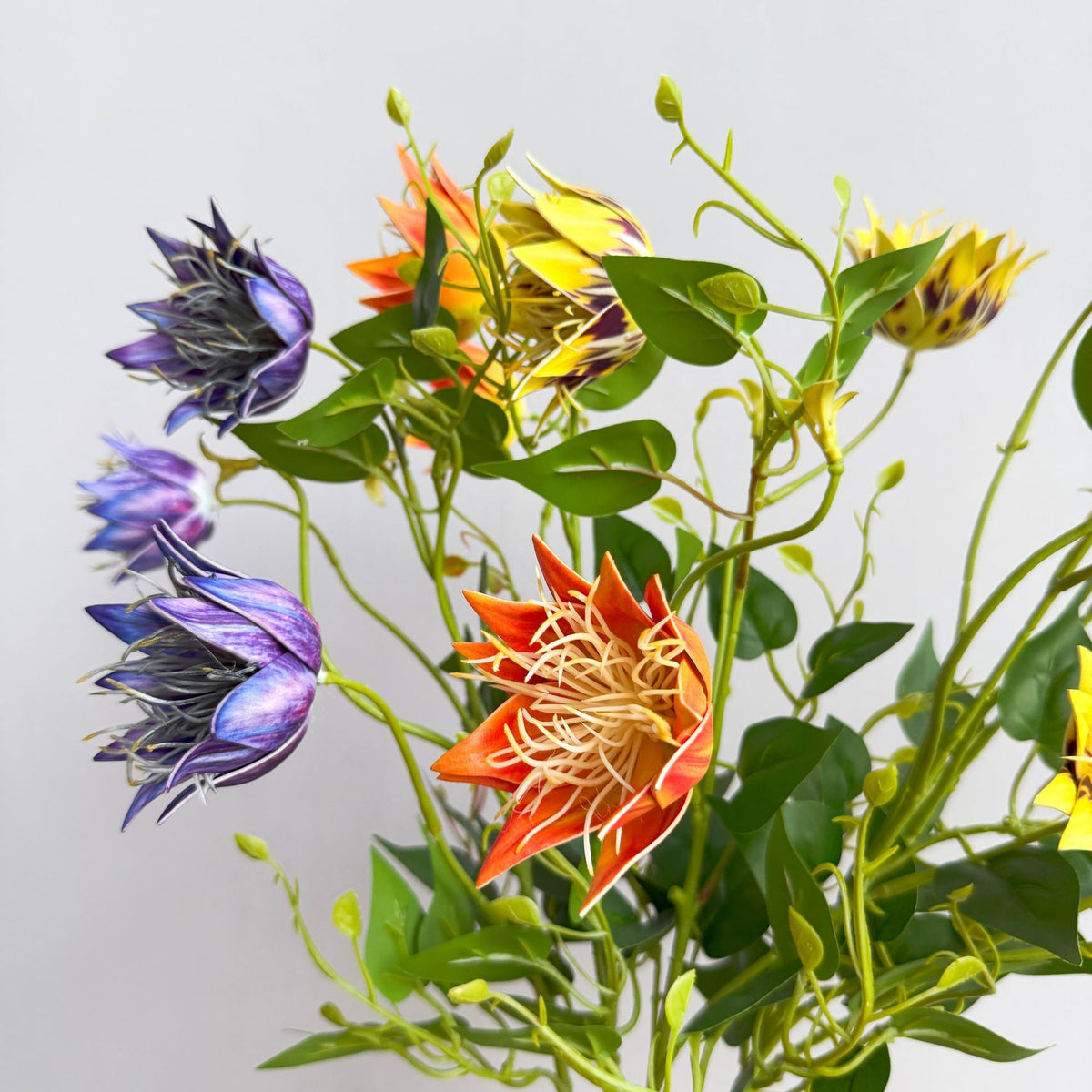 Exotische Flora Anordnung