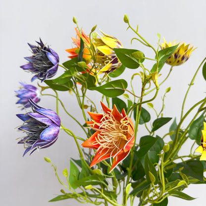 Exotische Flora Anordnung