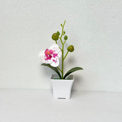 Lebensnahe Miniatur-Orchideenpflanze
