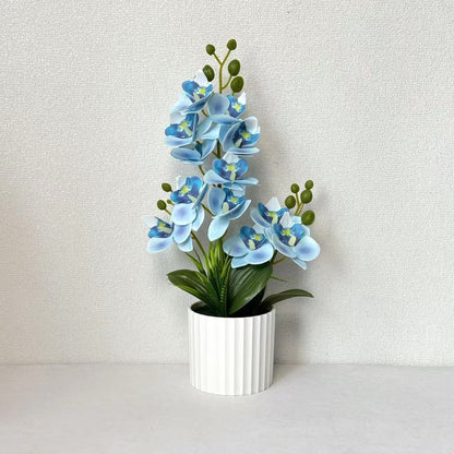 Realistische Indoor-Orchideenpflanzenanordnung