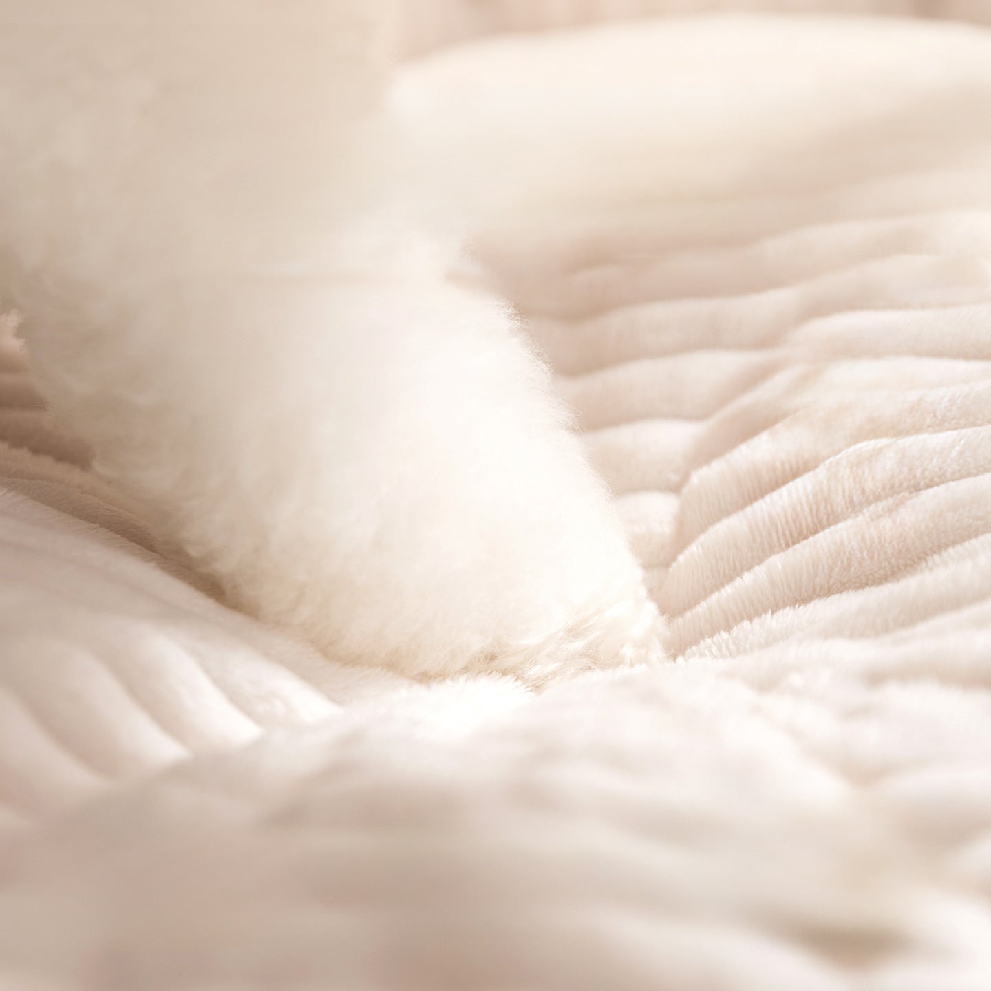 Gemütliches Rundes Gepolstertes Hundebett