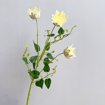Exotische Flora Anordnung