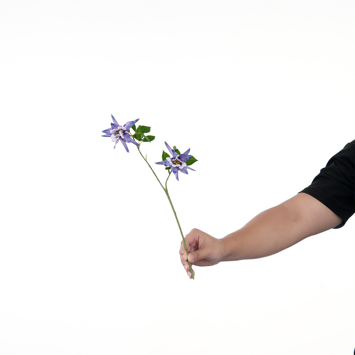 Lebensechte Mehrblütenblumenstiel