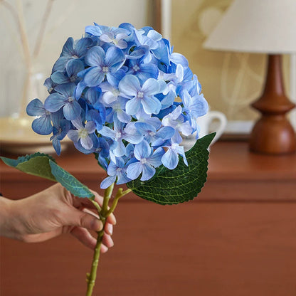 Hydrangea Dekorativer Floraler Stiel