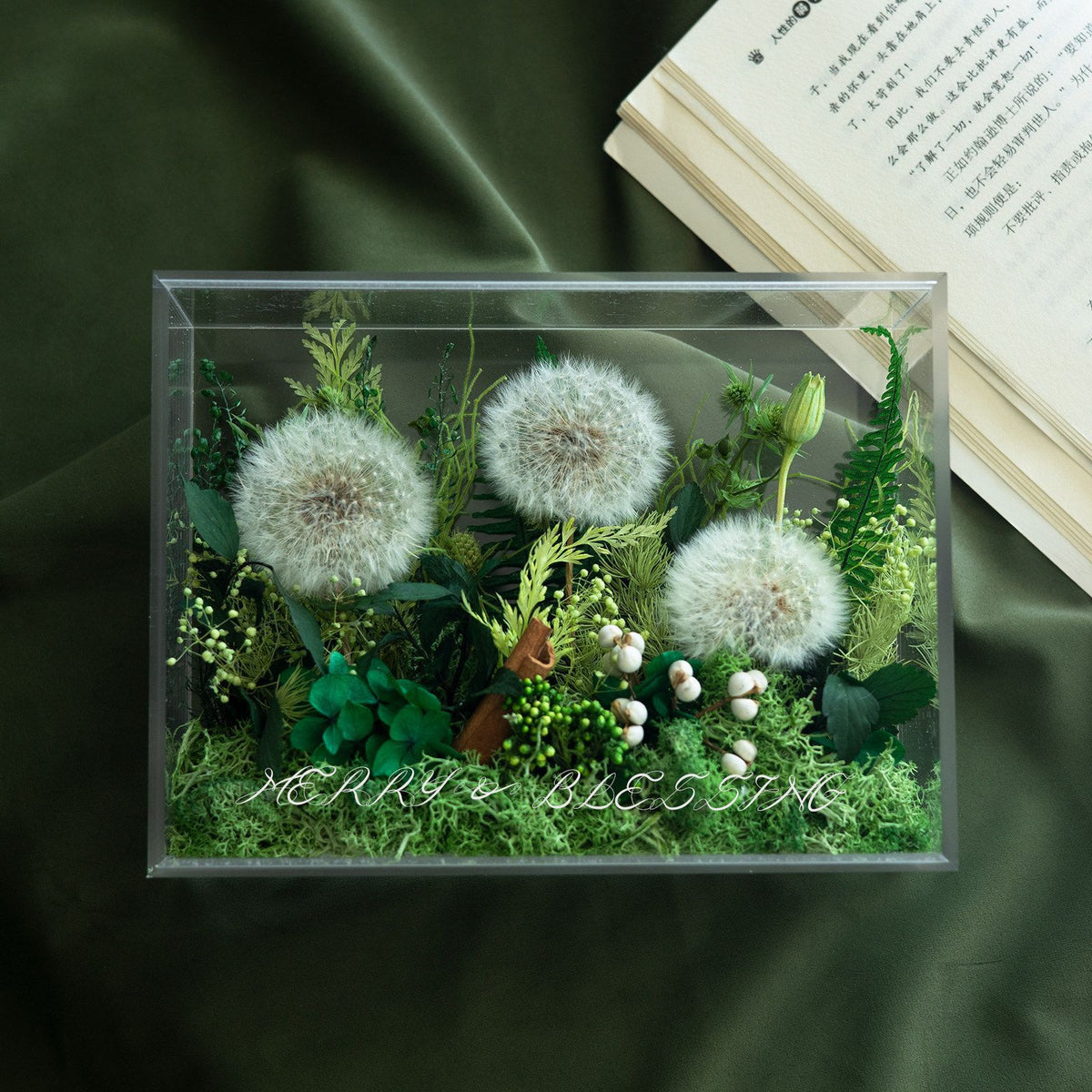 Konservierte Blumenanzeige Box