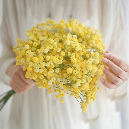 Elegante Blumenstiel
