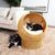 Katzenbett mit Modernem Design Brehn