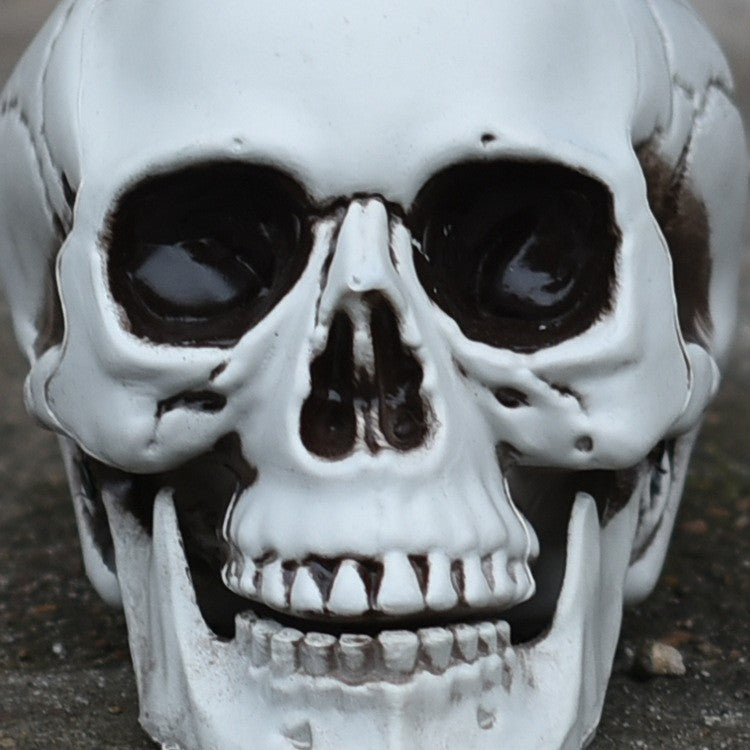 Dekorative realistische Totenkopf-Figur Brehn