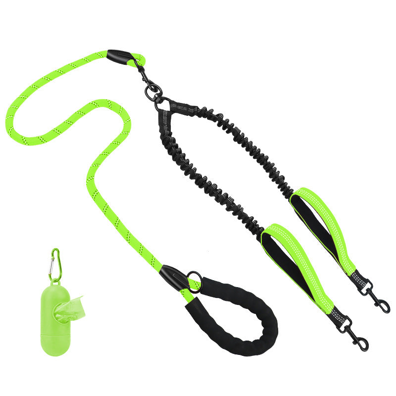 Hundetraining Leine