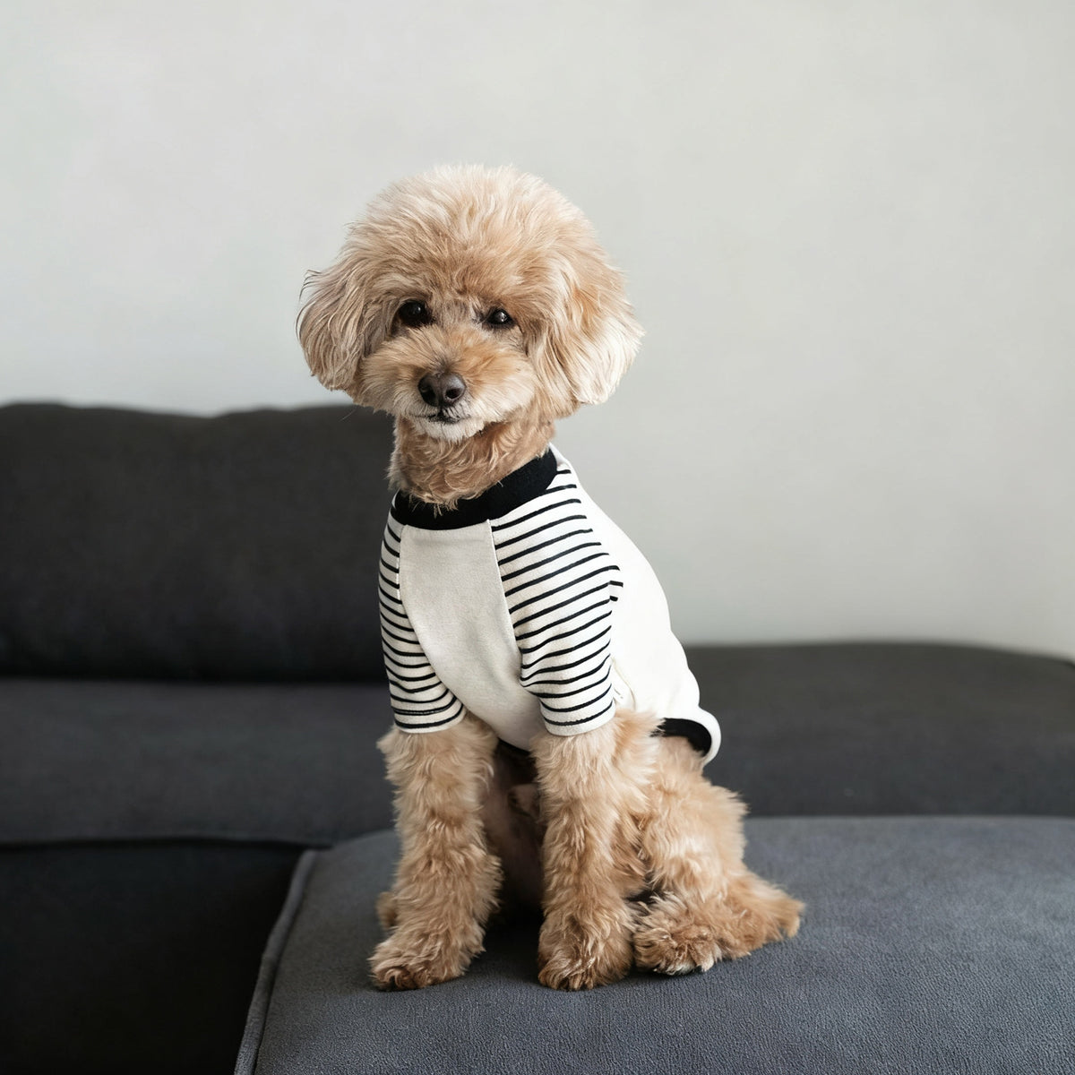 Gestreiftes Raglanärmel-Hund T-Shirt