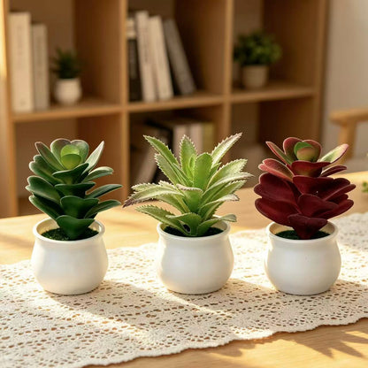 Künstliche Sukkulente Pflanze für die innere Wohnkultur