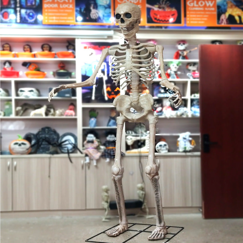 Lebensgroß anatomisches Skelett Requisit Brehn