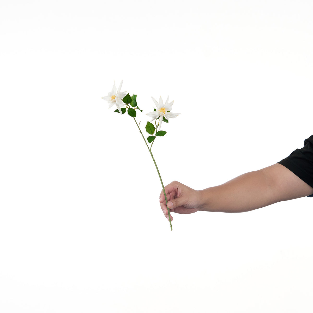 Lebensechte Mehrblütenblumenstiel