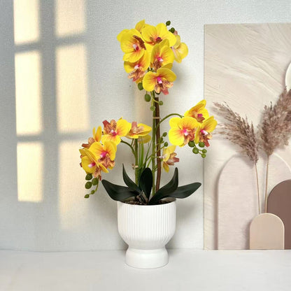 Dekorative Orchideenpflanzenarrangement 1790480695 für Dekor