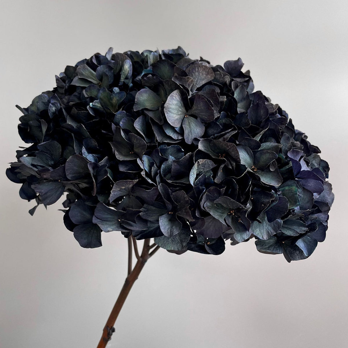 Exquisites Kunstblumenarrangement mit Hortensien