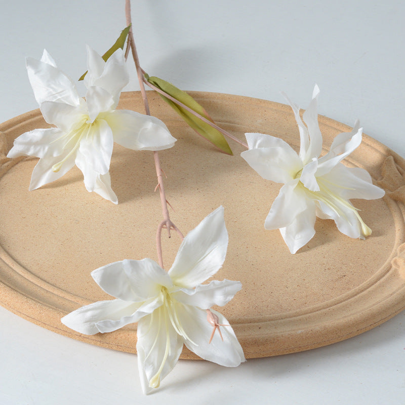 Dekorative Blumenstielanordnung