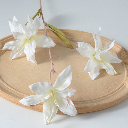 Dekorative Blumenstielanordnung
