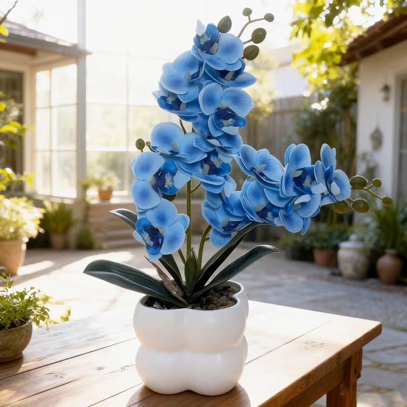 Lebensechte Orchideen Tischmittelstück