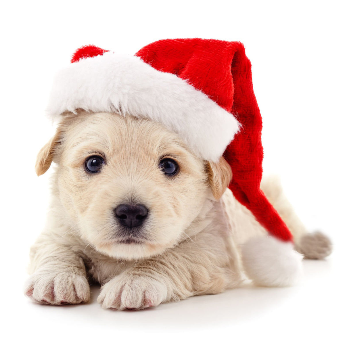 Festliche Weihnachtsmütze