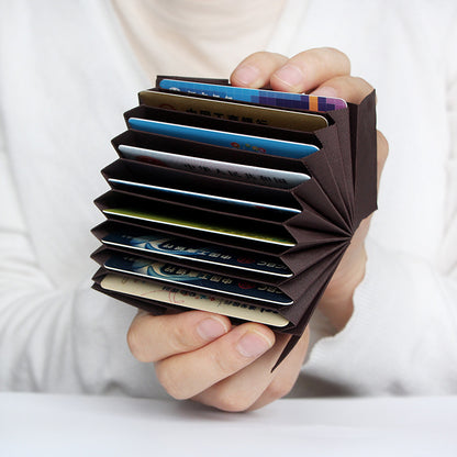 Multi-Compartment Karten Organizer